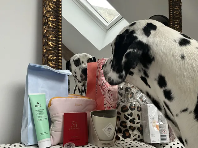 Hello les filles, Ma commande est arrivée : j'ai reçu mon