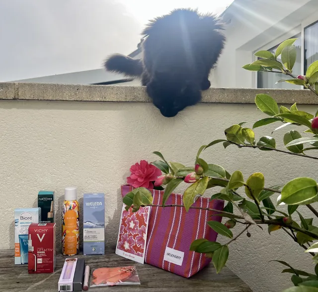 ME REVOILA …. Je viens de recevoir ma commande Blissim avec