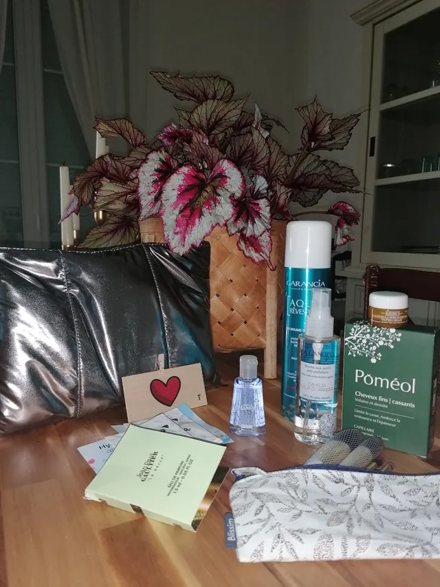 Commande de fin Août pour le plaisir de tester cette nouvell