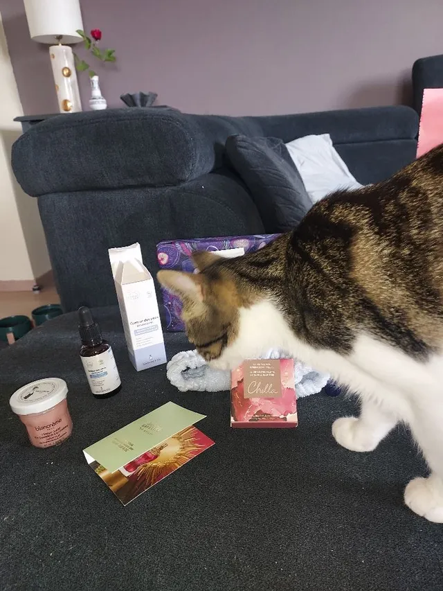 ma dernière commande avec mon chat très intéressé 🤣. Je