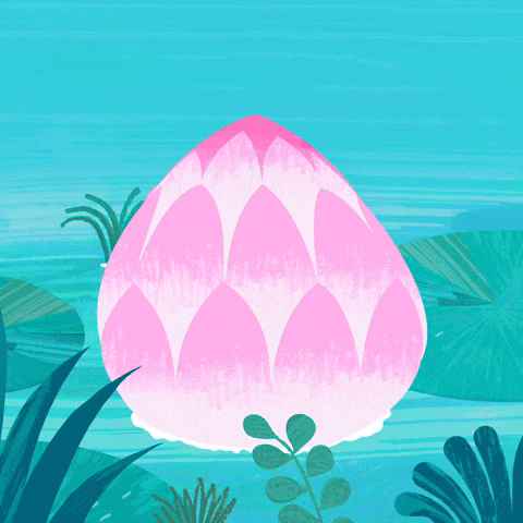 ma routine est tout d'abord je me démaquille avec une huile